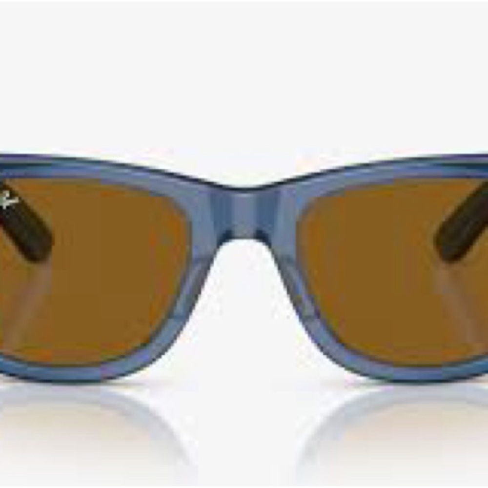 Ray-Ban Blue and Brown Women's Glasses